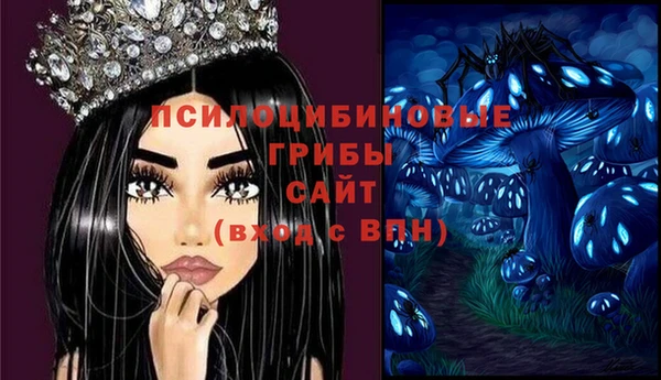 герыч Алексин