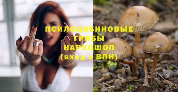 каннабис Алексеевка