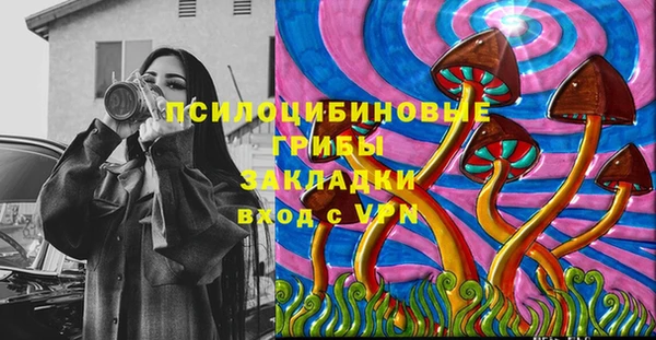 герыч Алексин
