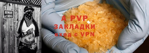 прущие грибы Абаза