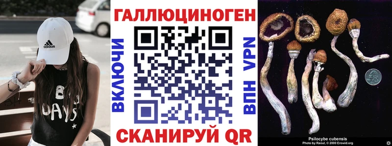 Псилоцибиновые грибы GOLDEN TEACHER нарко площадка формула Тамбов