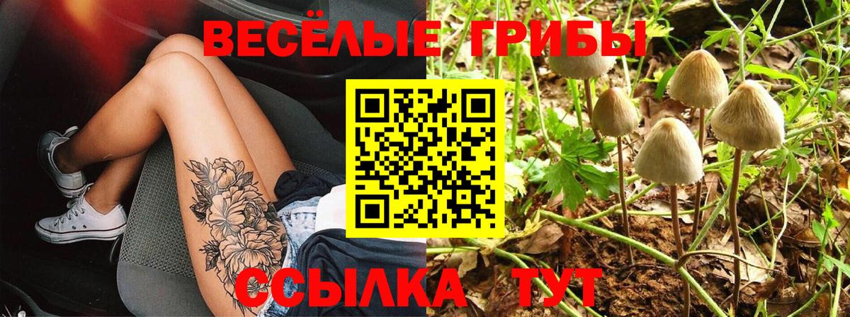 Галлюциногенные грибы мухоморы Тамбов